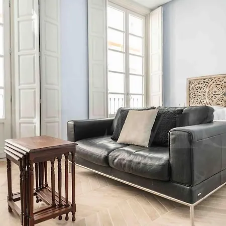 Classic Near Plaza De La Merced By Rems Apartment *